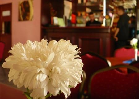 Maria Hotel 2*